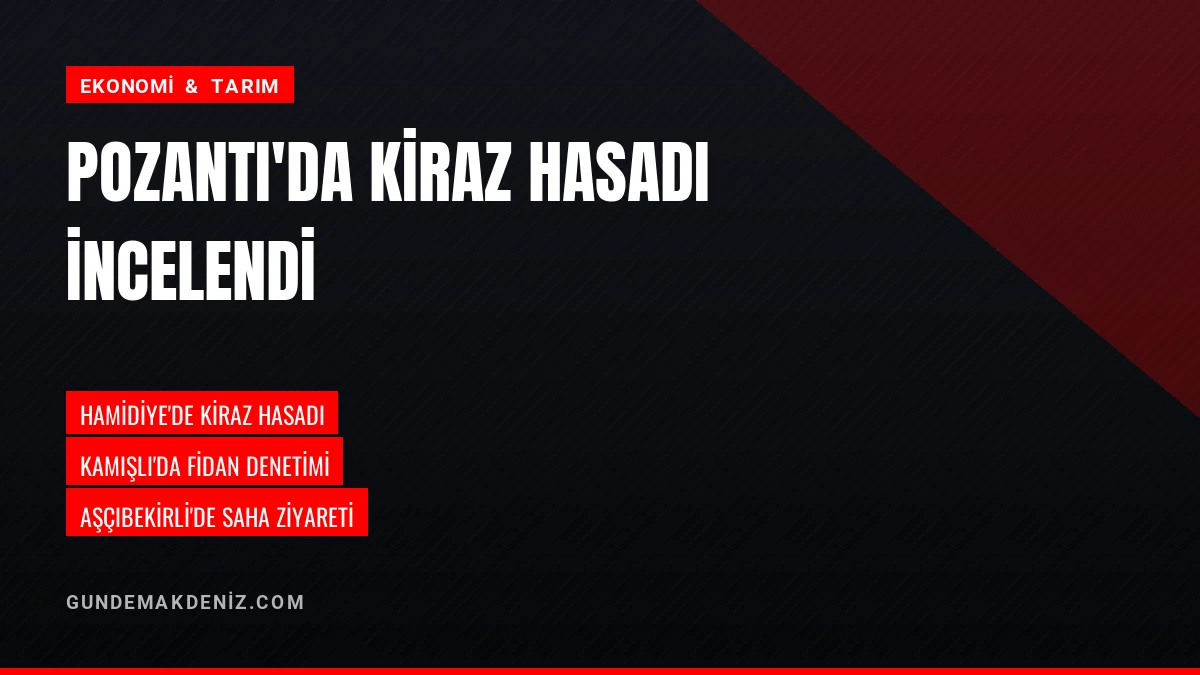 Adana Pozantı İlçesinde Kiraz Hasadı Saha Çalışmalarıyla Başladı
