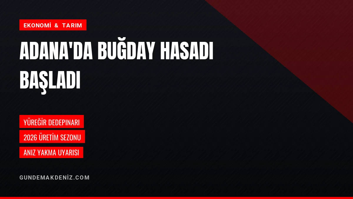 Adana Yüreğir Dedepınarı Mahallesinde Buğday Hasat Mesaisi Başladı