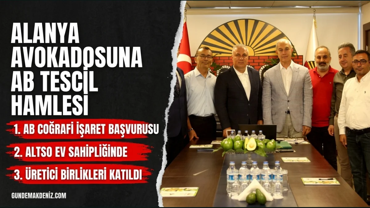 Alanya Avokadosu için Avrupa Birliği coğrafi işaret başvurusu yapıldı