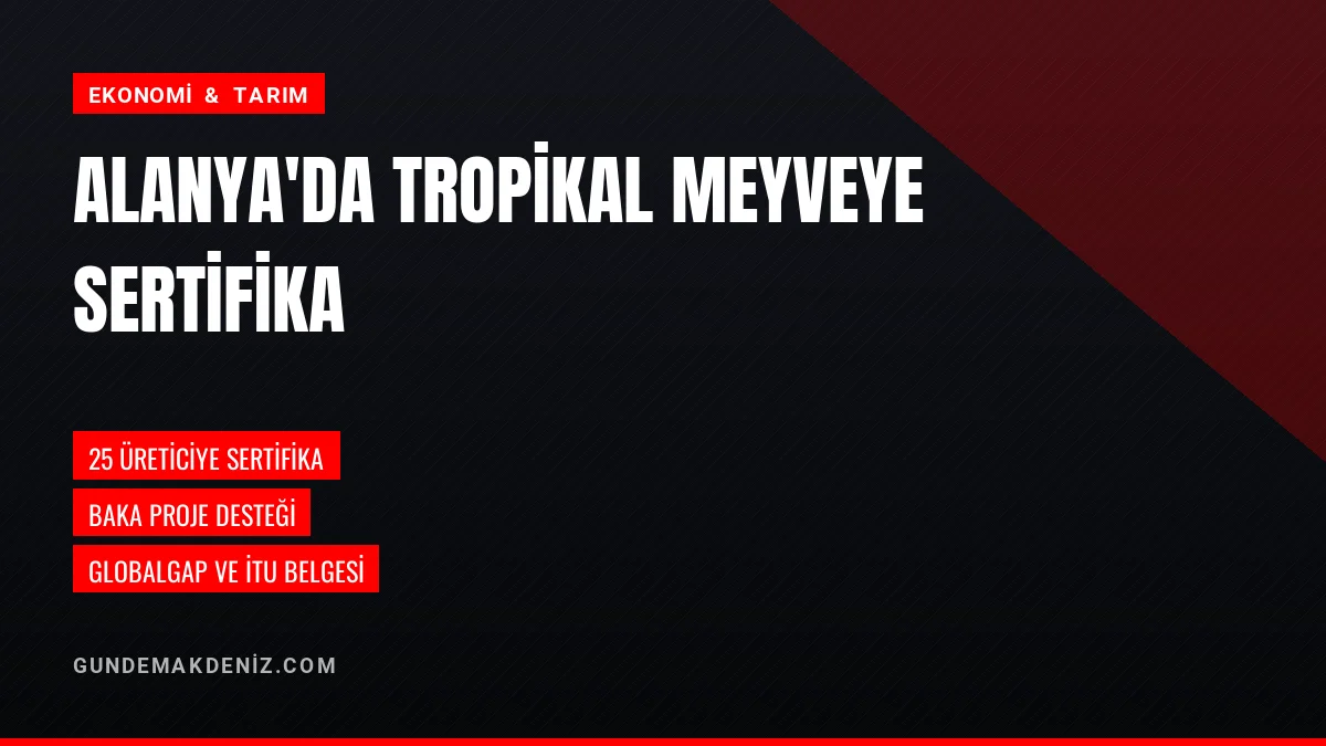 Alanya'da 25 tropikal meyve üreticisi sertifikasını teslim aldı