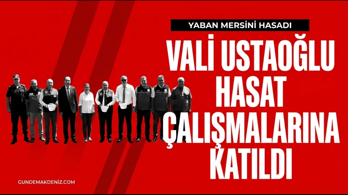 Balıkesir Valisi İsmail Ustaoğlu Yaban Mersini Hasadına Katıldı