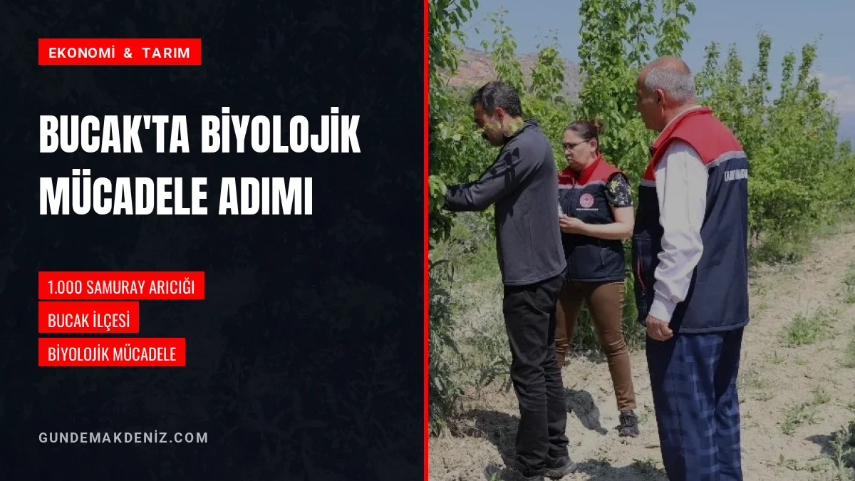 Bucak Tarımında Zararlılara Karşı Bin Samuray Arıcığı Salındı