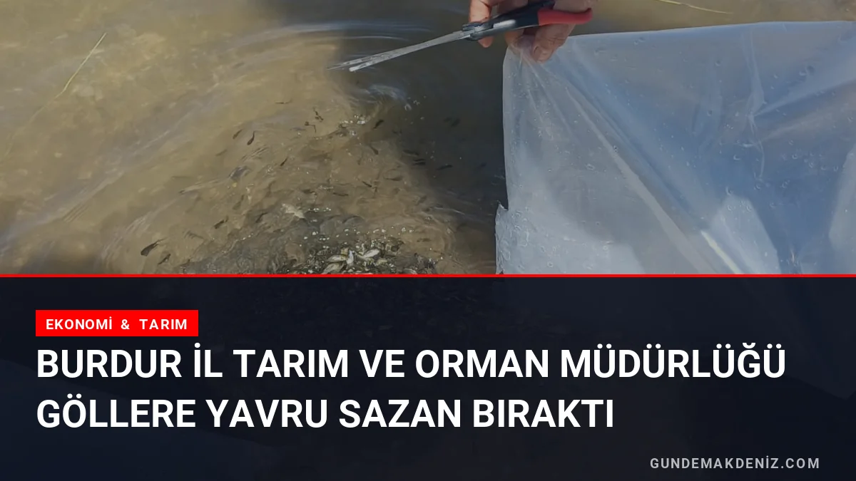 Burdur İl Tarım ve Orman Müdürlüğü Göllere Yavru Sazan Bıraktı