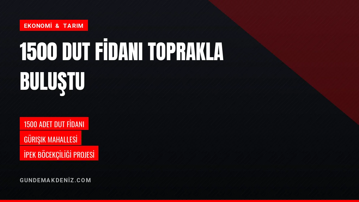Gürışık Mahallesinde İpek Böcekçiliği İçin 1500 Dut Fidanı Dikildi
