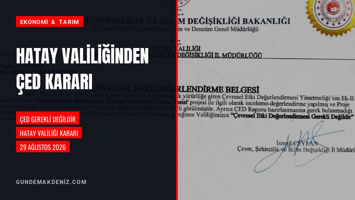 Hatay Valiliği Zeytinyağı Tesisi İçin ÇED Gerekli Değildir Kararı Verdi