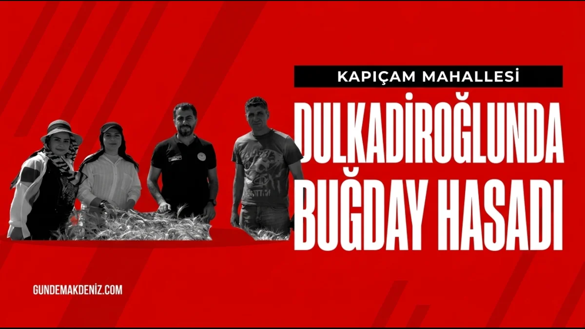 İl Müdürü Ramazan Bilir Dulkadiroğlunda Buğday Hasadına Katıldı