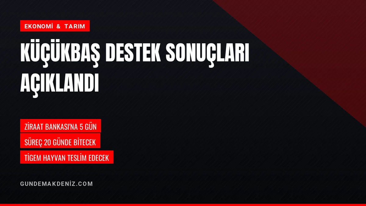 Küçükbaş Hayvan Destek Projesinde İlk Etap Sonuçları Açıklandı