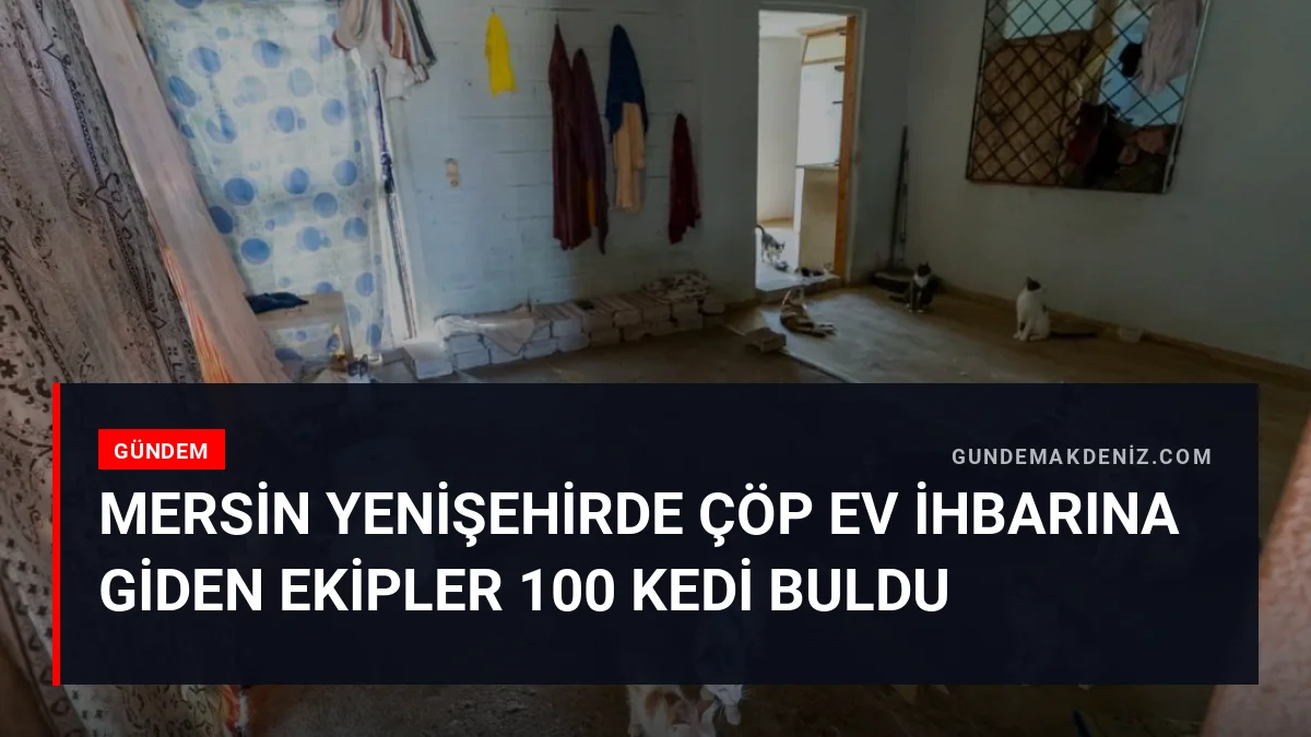 Mersin Yenişehirde Çöp Ev İhbarına Giden Ekipler 100 Kedi Buldu