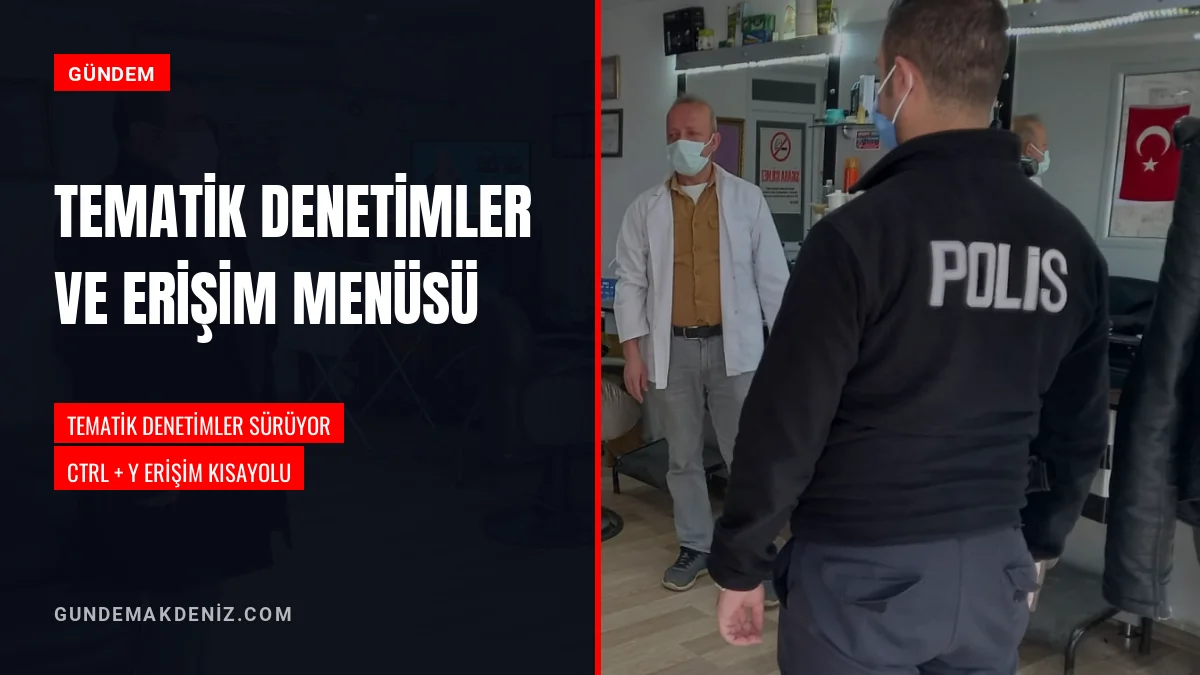 Tematik Denetim Çalışmaları Sürerken Web Erişim Seçenekleri Sunuldu