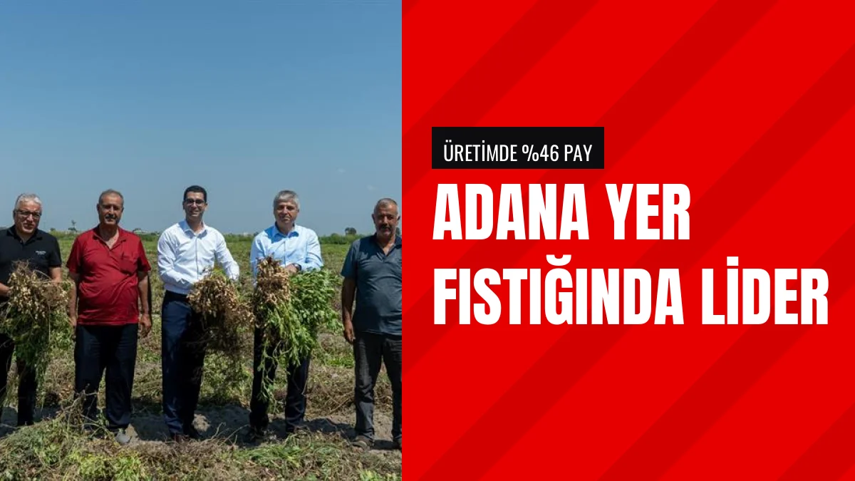 Adana Türkiye Yer Fıstığı Üretiminde Yüzde 46 Payla Lider Oldu