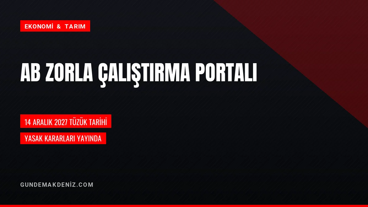 Avrupa Birliği Zorla Çalıştırma Tek Portalını Kullanıma Açtı