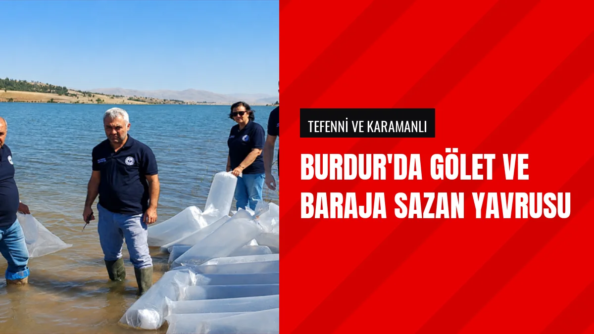 Burdur İl Tarım Müdürlüğü Göletleri Yavru Sazanla Buluşturdu