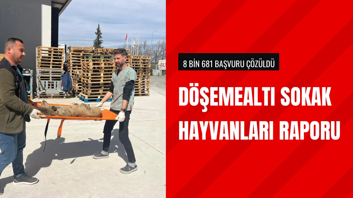Döşemealtı Belediyesi 8 Bin 681 Hayvan Başvurusunu Sonuçlandırdı