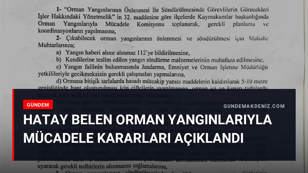 Hatay Belen Orman Yangınlarıyla Mücadele Kararları Açıklandı