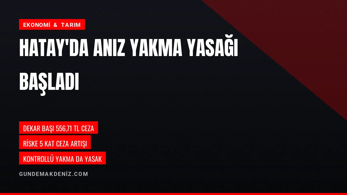 Hatay Valiliği anız yakanlara uygulanacak para cezasını açıkladı