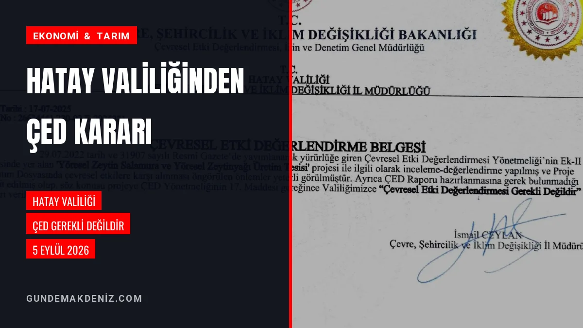 Hatay Valiliği Zeytinyağı Yatırımı İçin ÇED Kararını Duyurdu