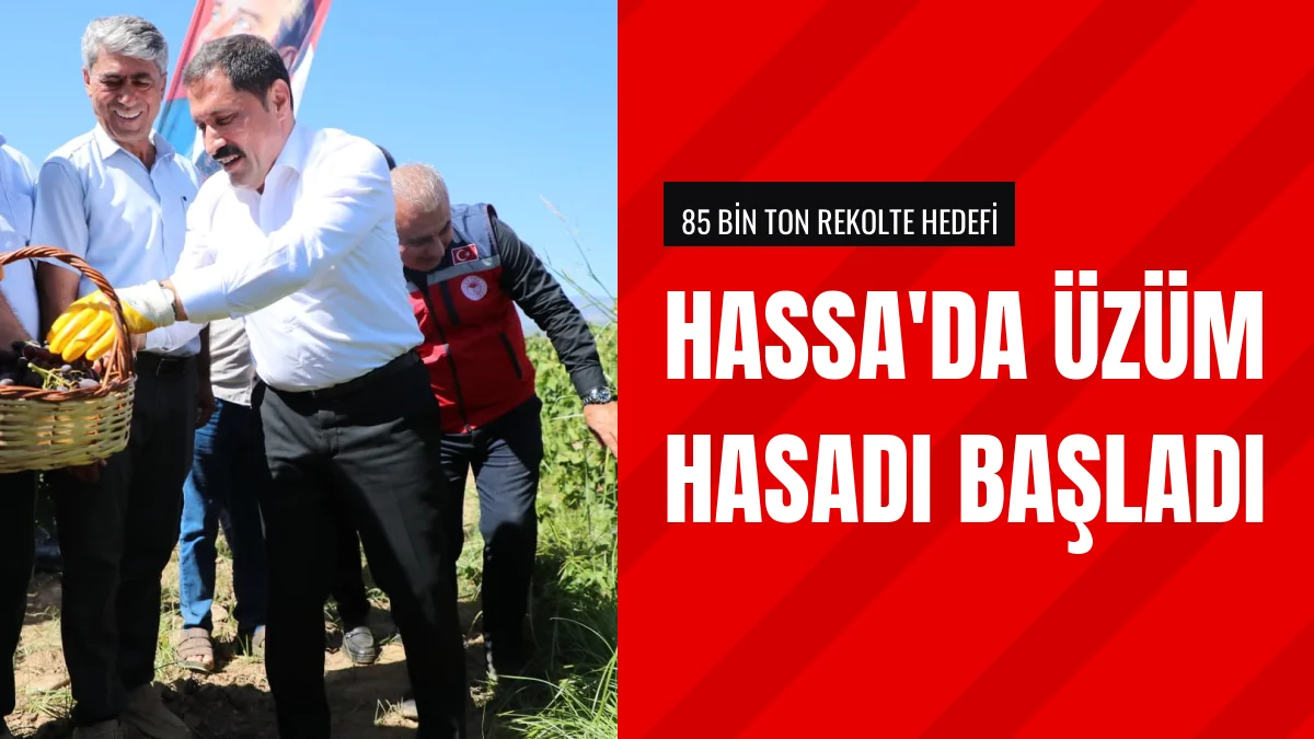 Hatay Valisi Mustafa Masatlı Hassa İlçesindeki Üzüm Hasadına Katıldı