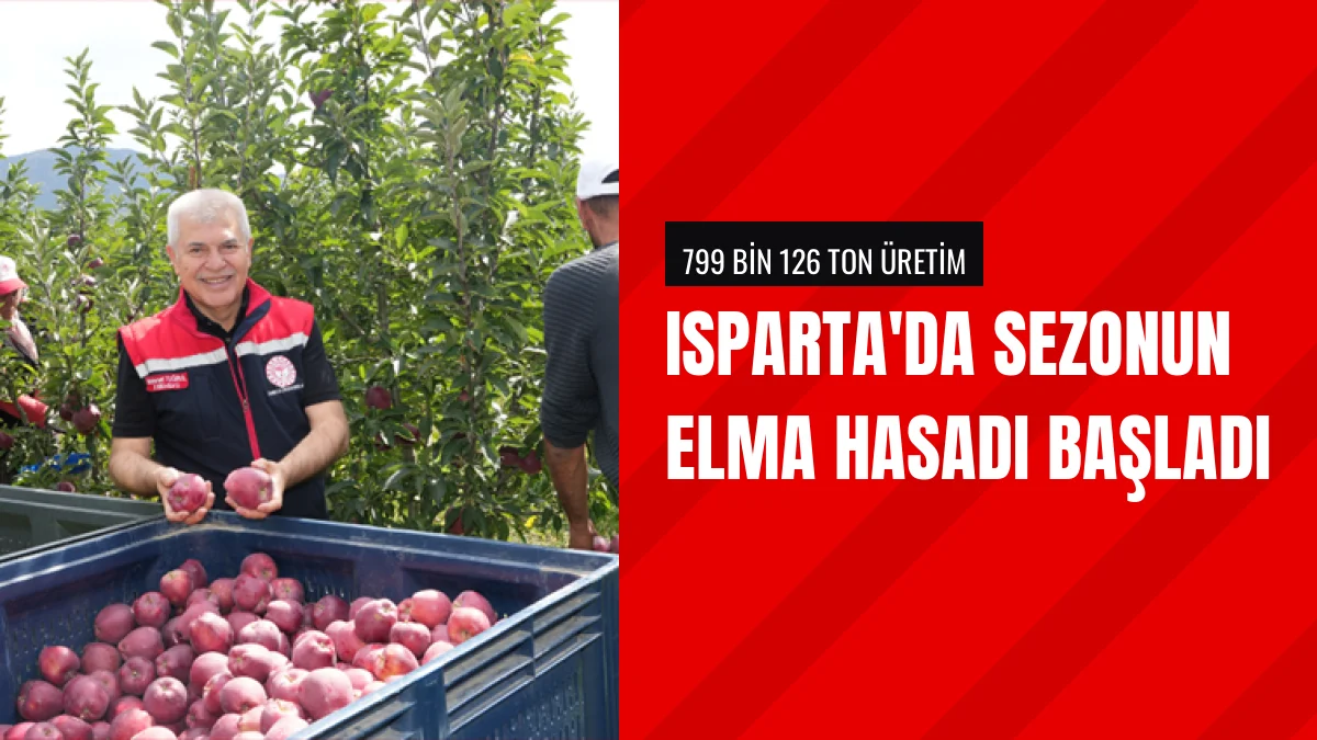 Isparta elma hasadına başladı Türkiye üretiminin lideri oldu