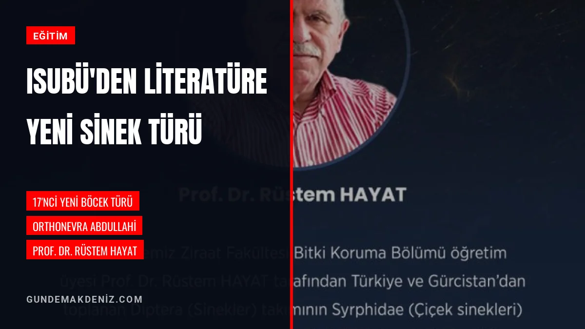 ISUBÜ Öğretim Üyesi Prof Dr Rüstem Hayat Yeni Bir Sinek Türü Keşfetti