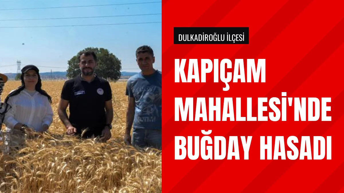 Kahramanmaraş İl Müdürü Ramazan Bilir Buğday Hasadına Katıldı