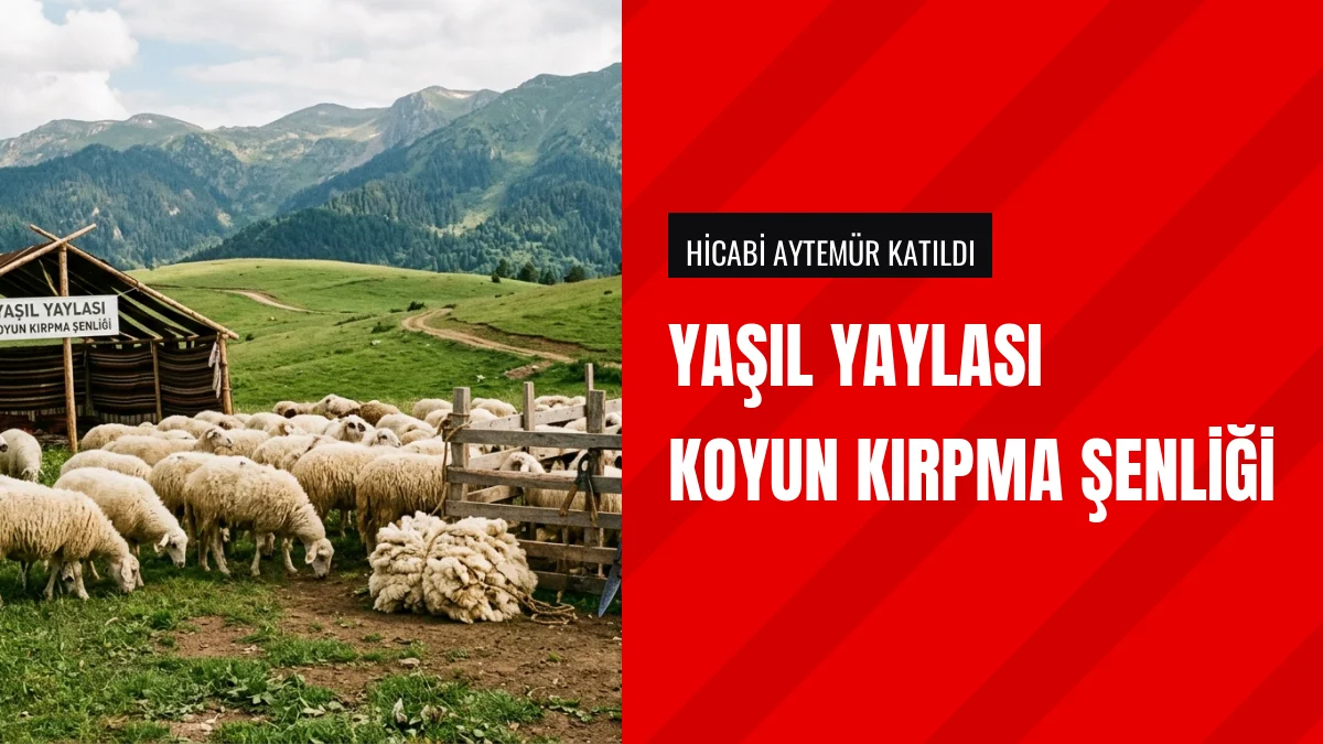 Kaymakam Hicabi Aytemür Yaşıl Yaylası Koyun Kırpma Şenliğine Katıldı