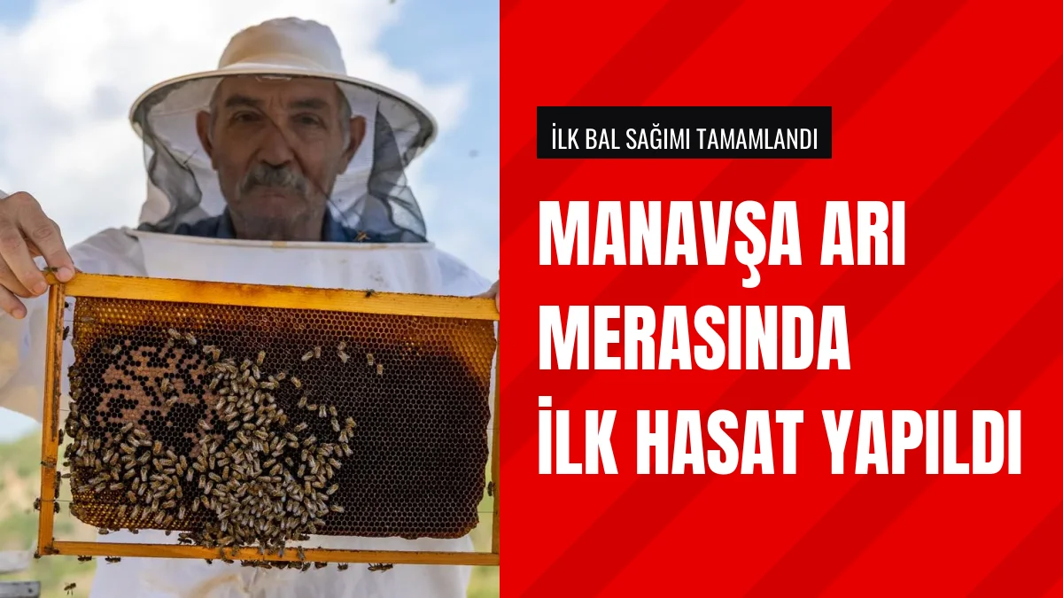 Mersin Yenişehir Belediyesi Manavşa Arı Merasında İlk Balı Hasat Etti