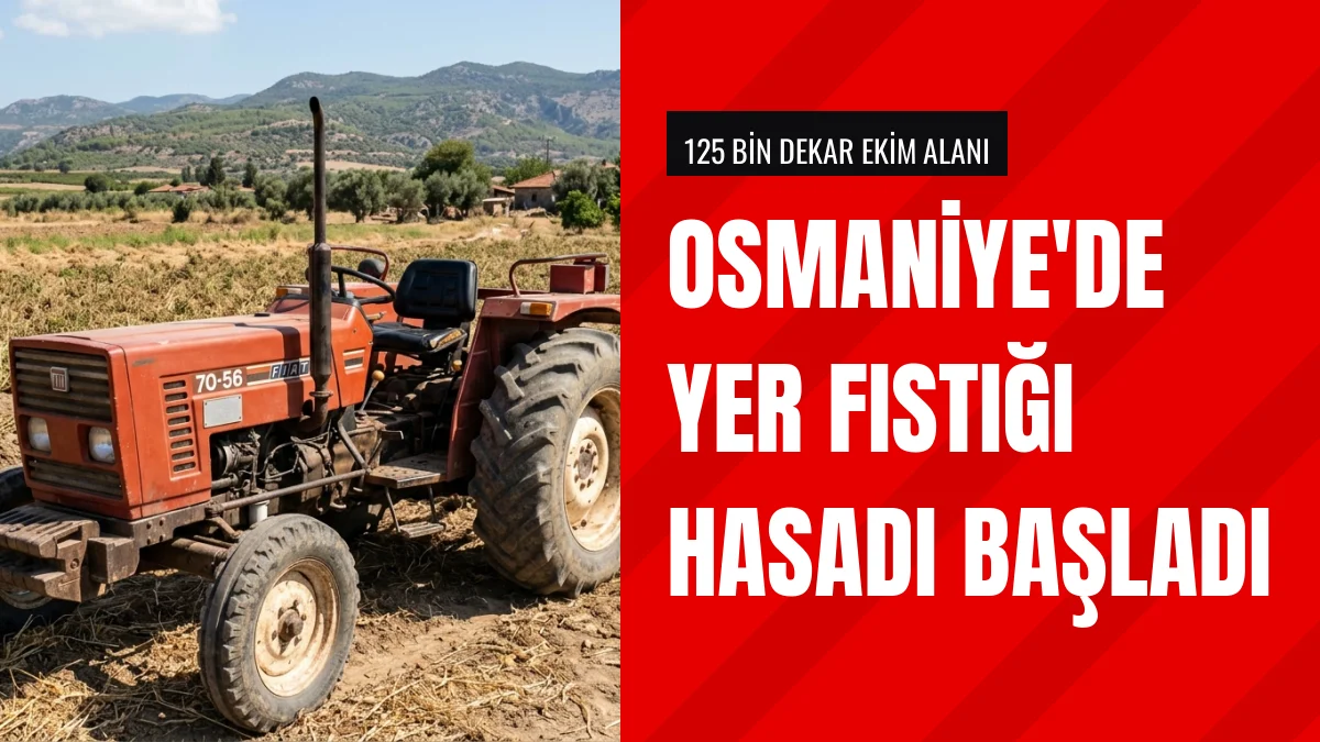 Osmaniye Valisi Serdengeçti Kırmıtlıda Yer Fıstığı Hasadı Yaptı