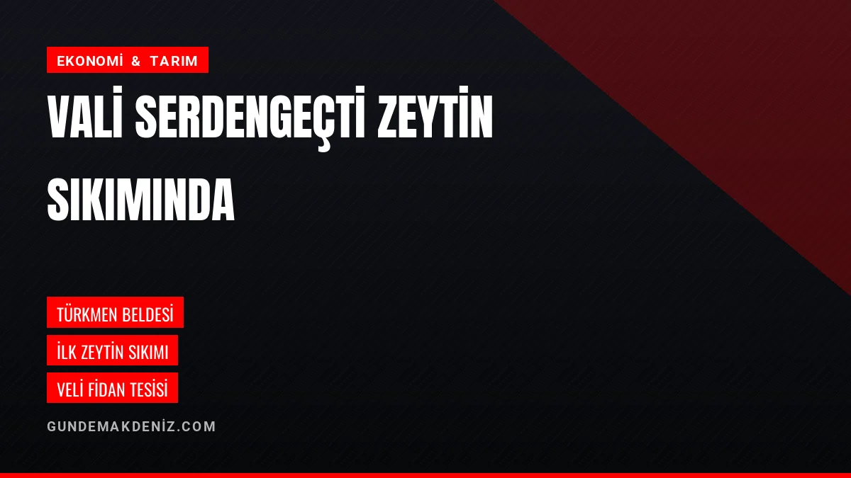 Osmaniye Valisi Serdengeçti Sezonun İlk Zeytin Sıkımını İnceledi
