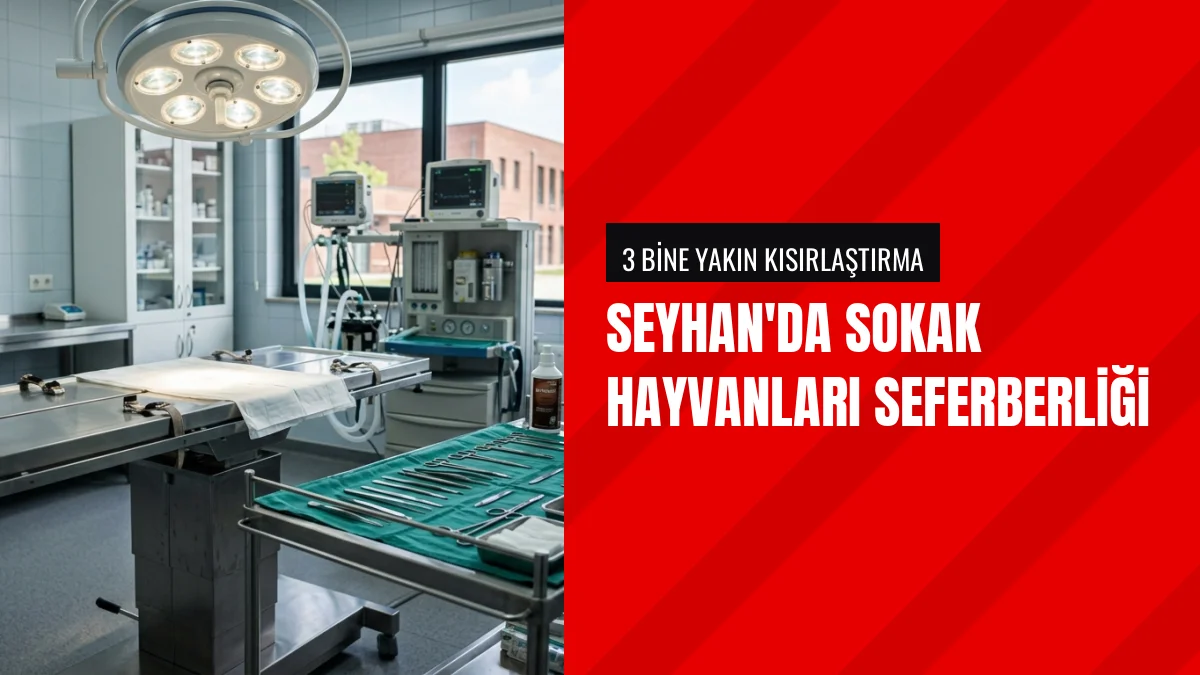 Seyhan Belediyesi bu yıl üç bin sokak hayvanını kısırlaştırdı