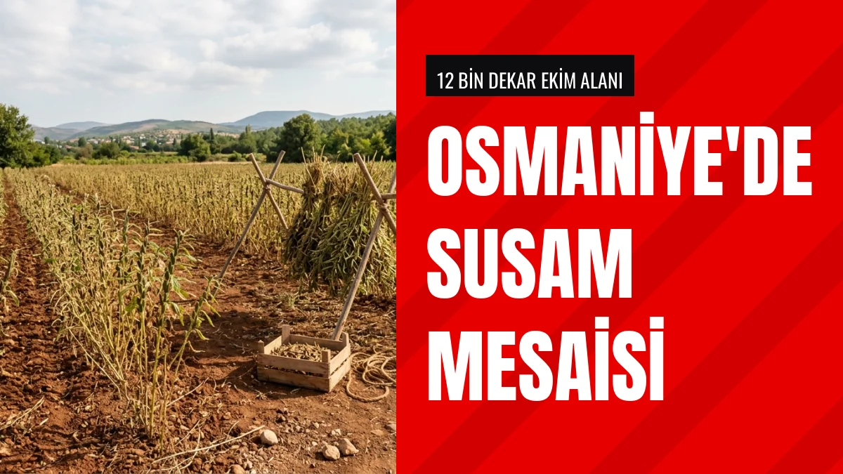 Vali Serdengeçti Toprakkalede susam üreticileriyle bir araya geldi
