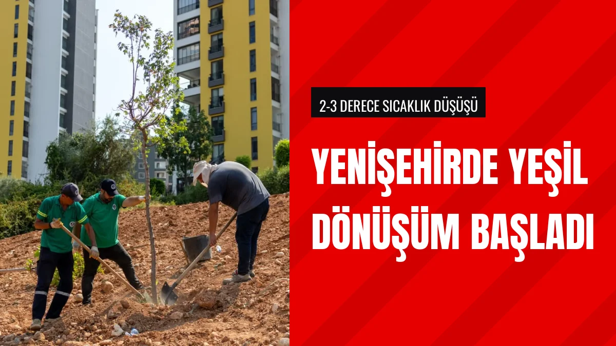 Yenişehir Belediyesi Menteş Mahallesi Ağaçlandırma Projesini Başlattı