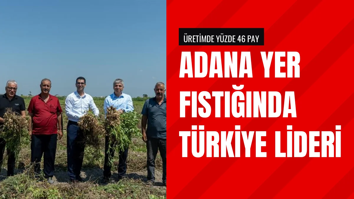 Adana Türkiye Yer Fıstığı Üretiminde Yüzde 46 Pay İle Lider Oldu