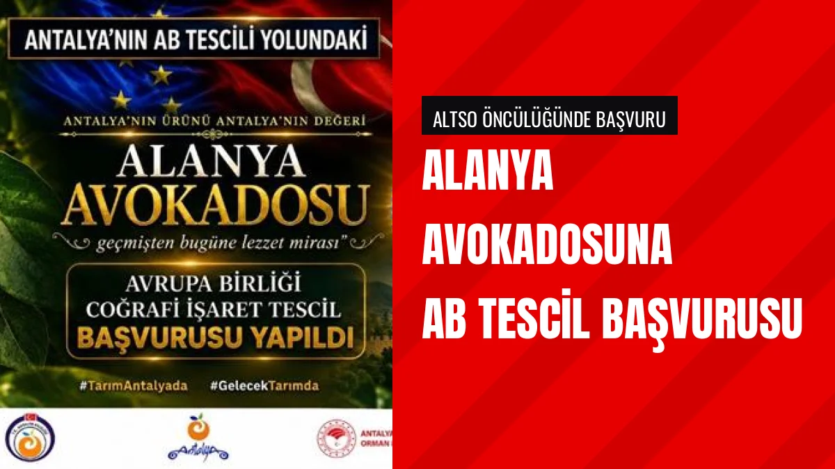 Alanya Avokadosu İçin Avrupa Birliği Tescil Başvurusu Yapıldı
