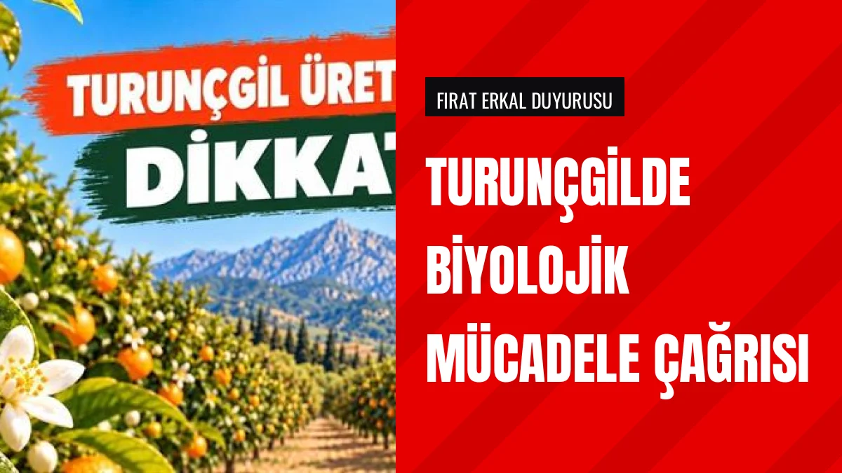 Antalya Tarım Müdürlüğü turunçgilde biyolojik mücadele çağrısı yaptı