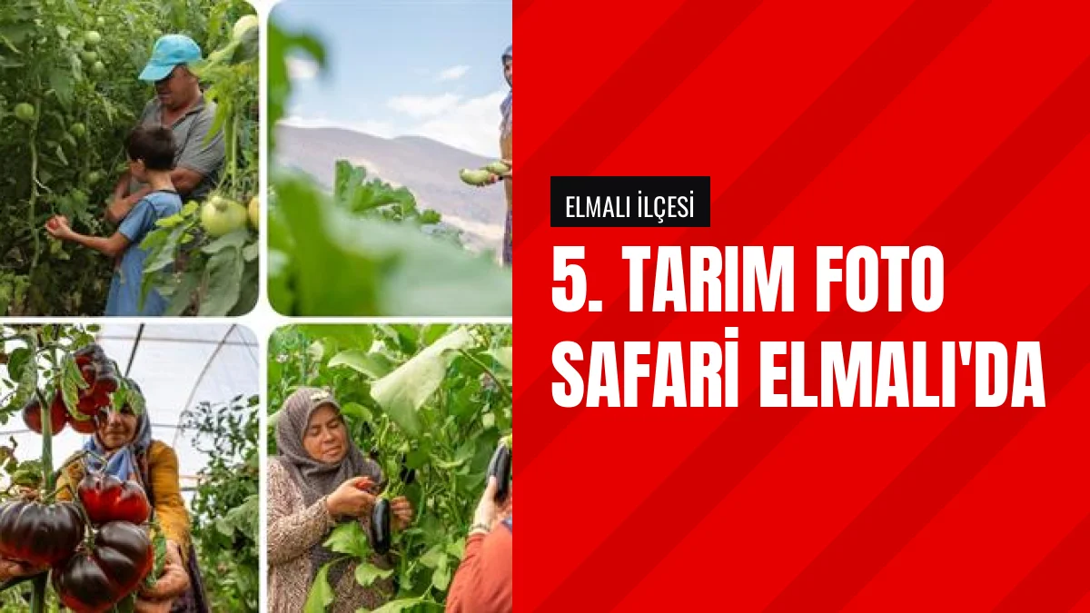 Antalyada Beşinci Tarım Foto Safari Elmalı İlçesinde Yapıldı