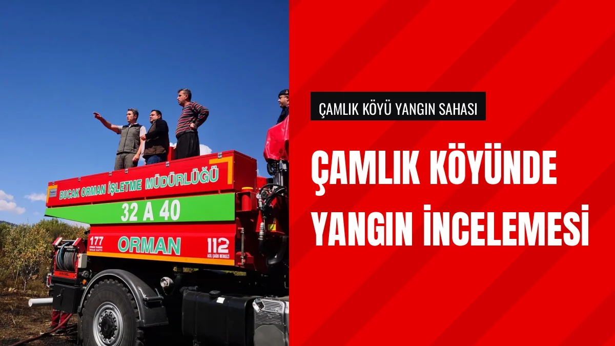 Bucak Kaymakamı Kuruca Çamlık Köyündeki Yangın Bölgesini İnceledi