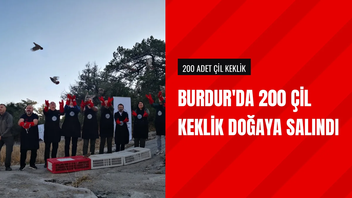 Burdur Karacaören Barajı Kırsalında 200 Çil Keklik Doğaya Salındı