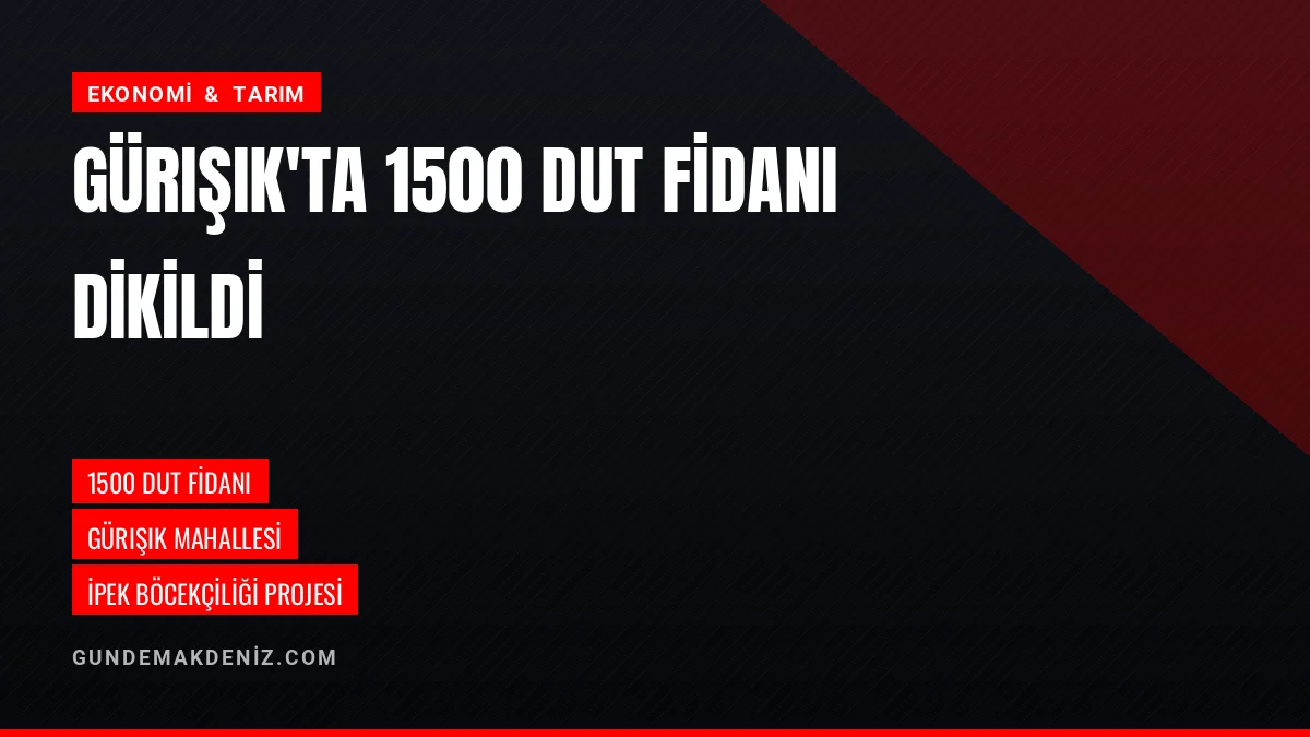 Gürışık Mahallesi'nde 1500 Dut Fidanı İpek Böcekçiliği İçin Dikildi