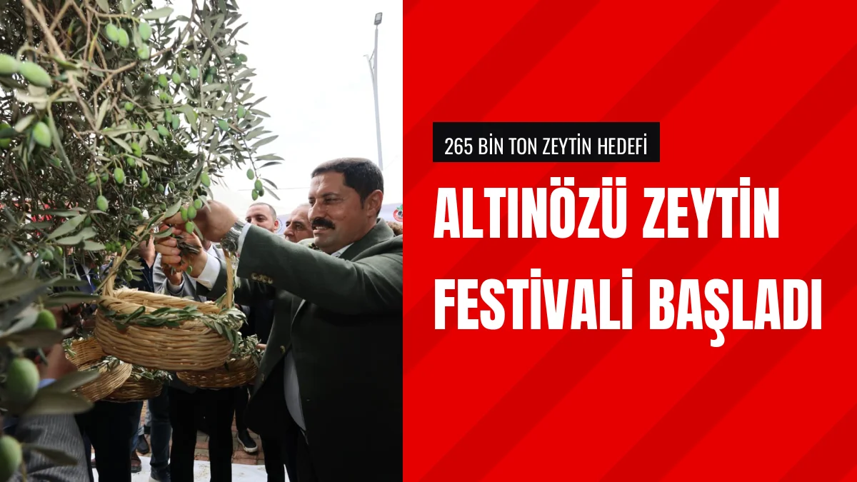 Hatay Altınözü Zeytin Festivali İlk Hasat Programıyla Başladı