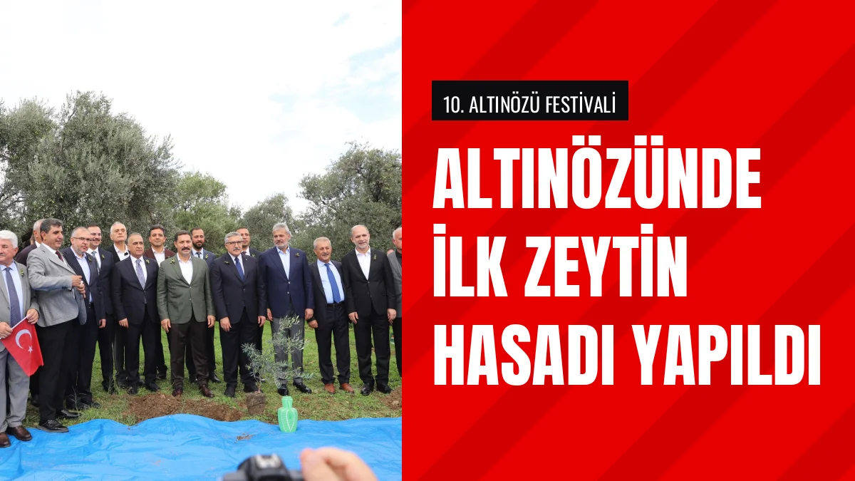 Hatay Altınözünde Sezonun İlk Zeytin Hasadı Etkinlikle Yapıldı