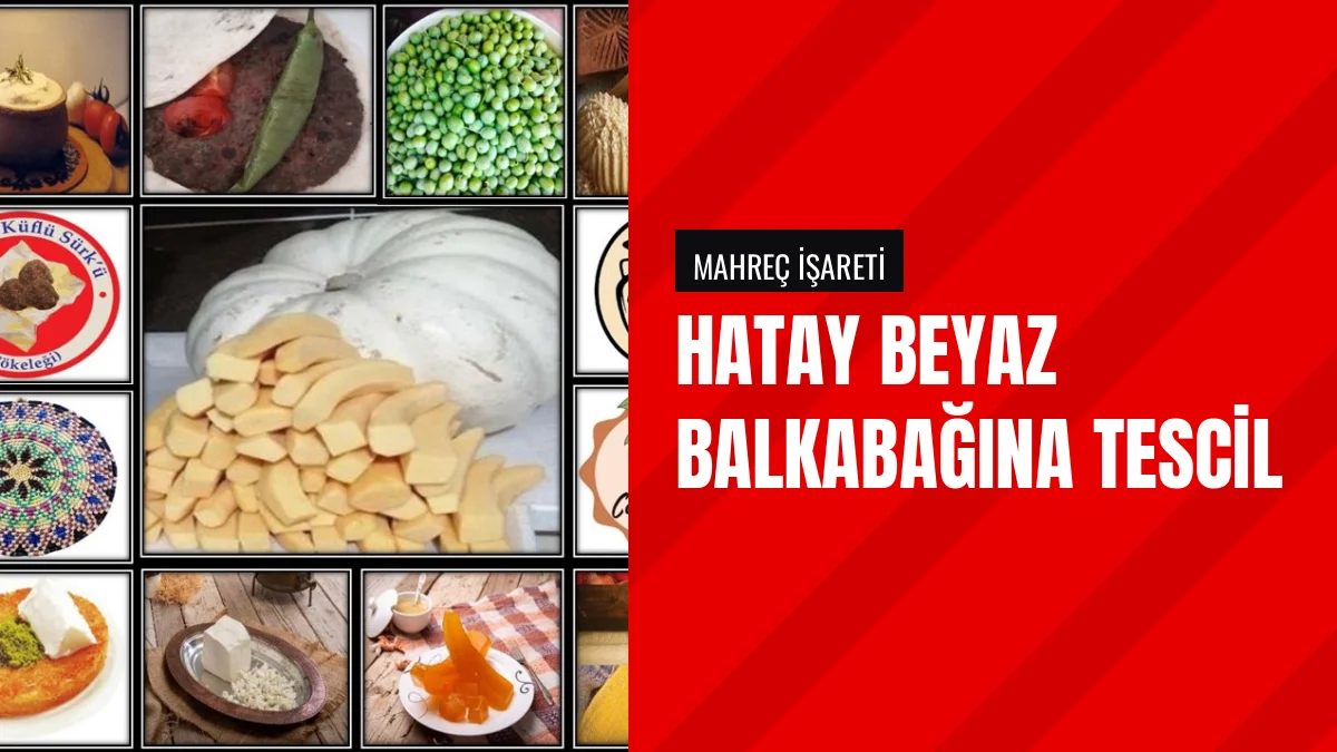 Hatay Beyaz Balkabağı Mahreç İşareti Olarak Tescil Edildi