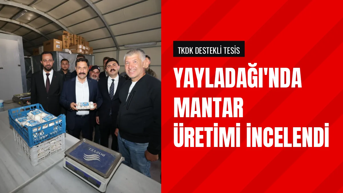 Hatay Valisi Mustafa Masatlı Yayladağında Mantar Tesisini İnceledi