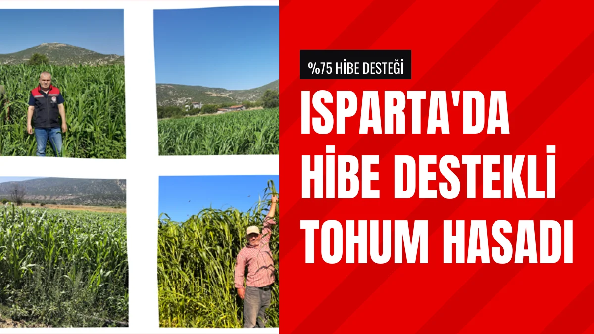 Isparta İl Tarım Müdürlüğünün Hibe Tohum Desteği Hasat Edildi