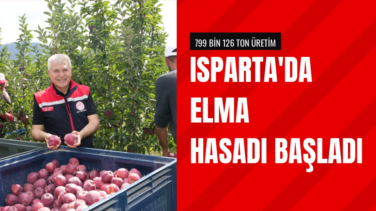 Isparta Türkiye Elma Üretiminde Yüzde 35 Payla İlk Sırada Yer Aldı