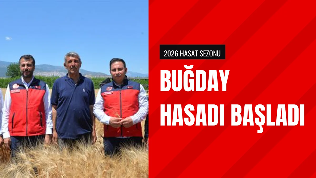 Kahramanmaraş'ta 2026 Buğday Hasadı Başladı İl Müdürü Sahada