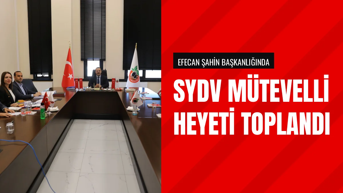 Kaymakam Efecan Şahin Sosyal Yardım Taleplerini Değerlendirdi