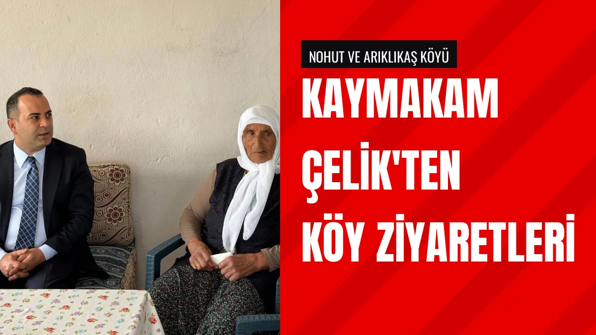 Kaymakam Mustafa Berk Çelik Nohut ve Arıklıkaş köylerini ziyaret etti