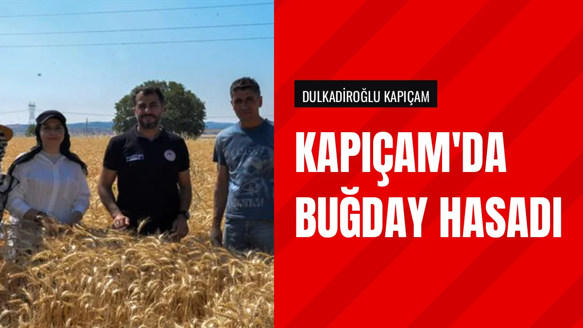 Ramazan Bilir Dulkadiroğlu Kapıçam'da buğday hasadına katıldı